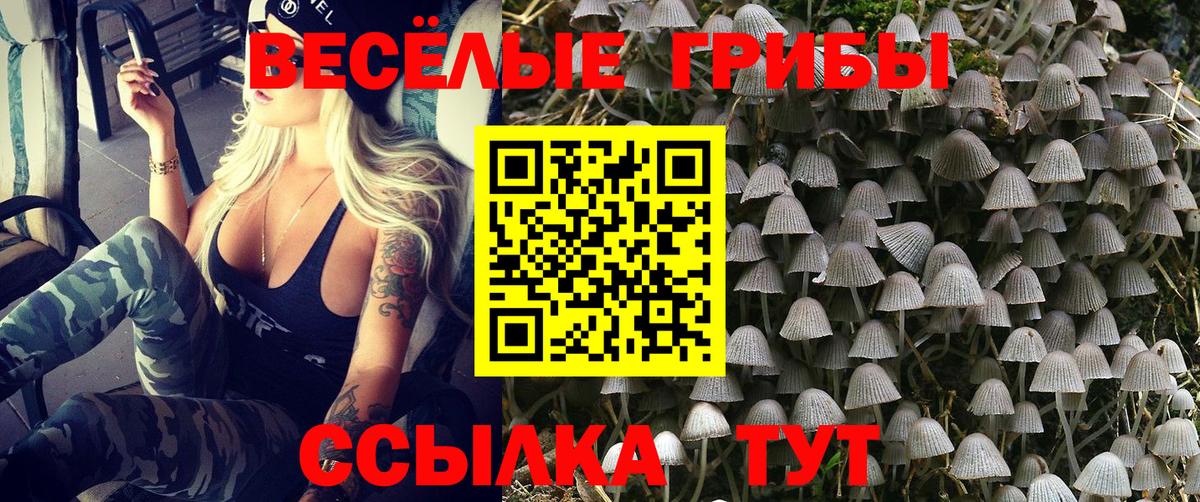 Муравленко  Псилоцибиновые грибы ЛСД  Вход с VPN 