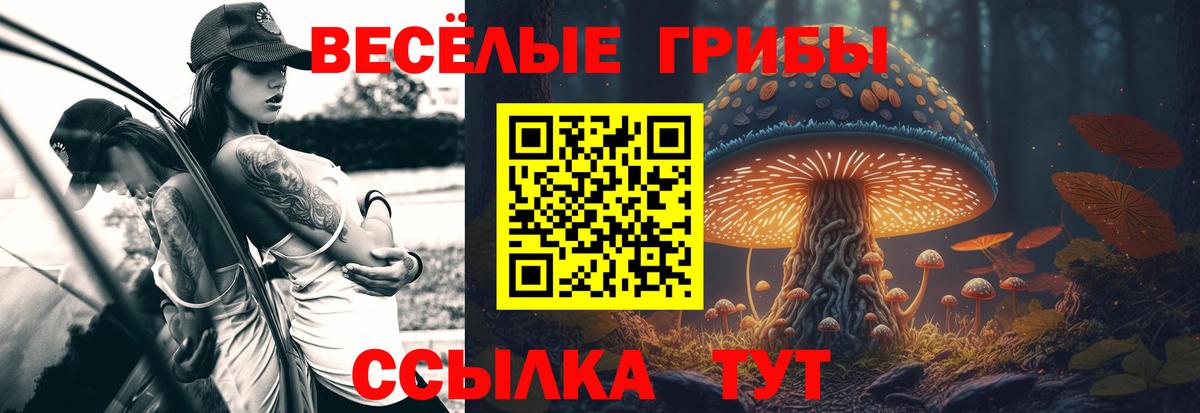 Галлюциногенные грибы MAGIC MUSHROOMS Муравленко